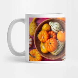 Wonderful Basket Full Of Small Pumpkins And Gourds Mug